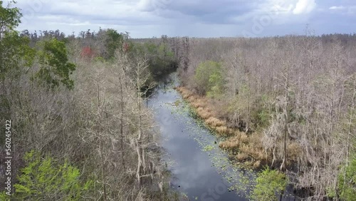 Aerial passage over the Suwanee River in late winter near Okefenokee, United States photo