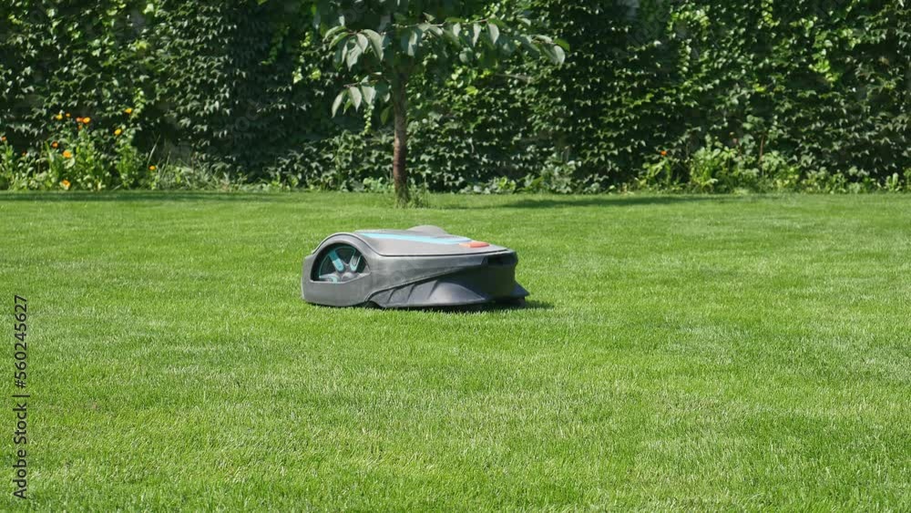 Mowing green gazan with a gas mower robot Mowing green gazan with a gas mower robot