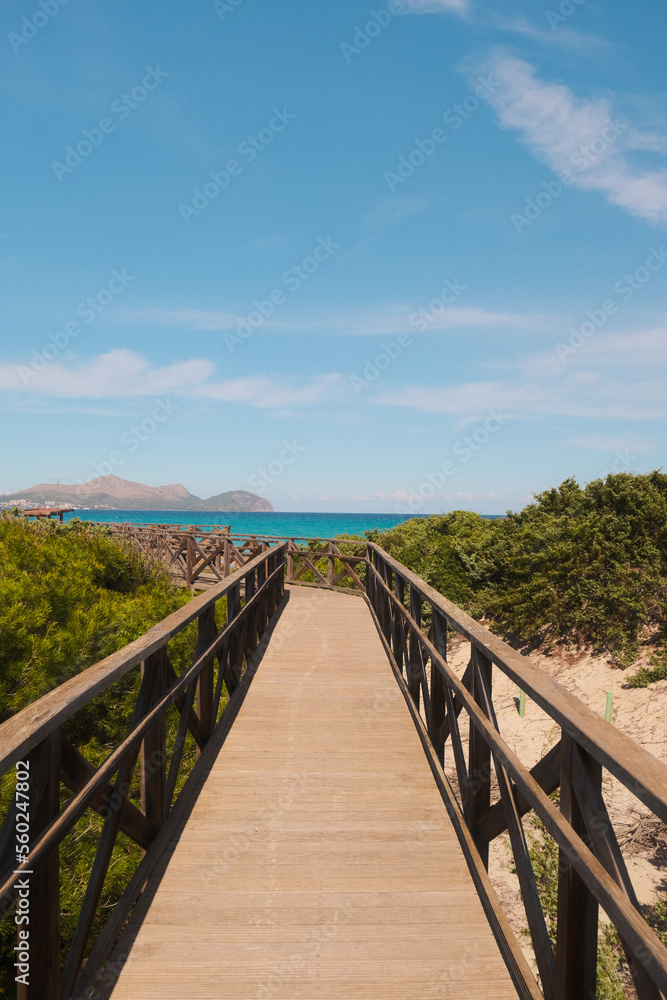 Muro beach in the north of Mallorca, Balearic Island in the Mediterranean Sea, late summer 2022
