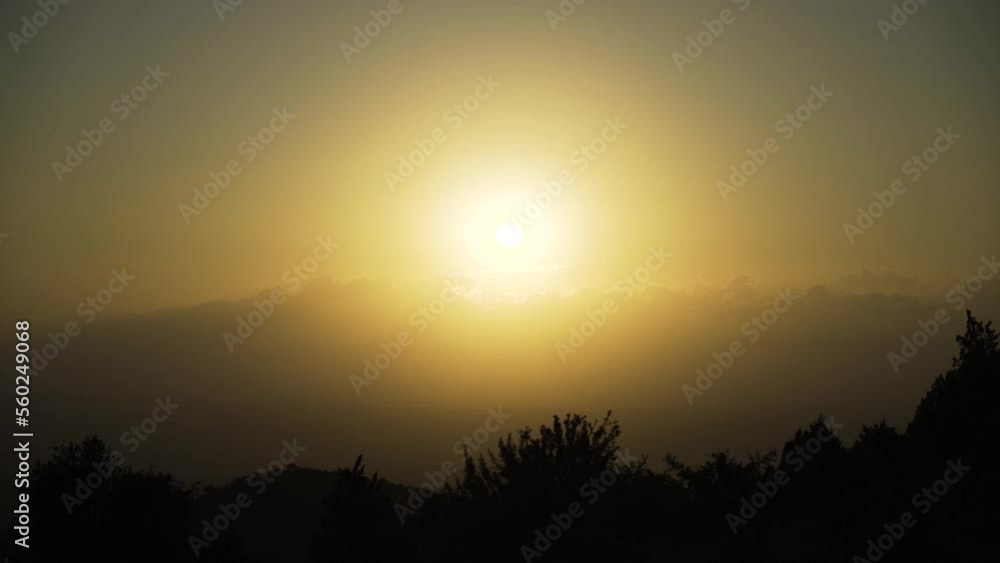 Sunrise View Through Trees and Bushes 4K Sunrise View Through Trees and Bushes 4K