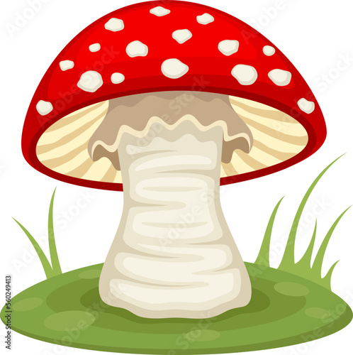 Vector illustration of a red-capped mushroom with a white stalk growing on a grassy green pad.