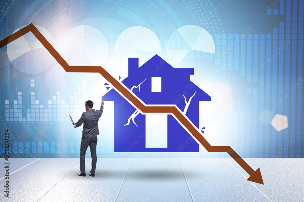 Concept of real estate price crush