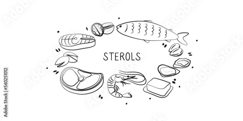 Sterols-containing food. Groups of healthy products containing vitamins and minerals. Set of fruits, vegetables, meats, fish and dairy.