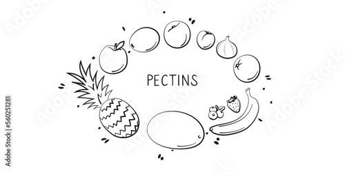 Pectins-containing food. Groups of healthy products containing vitamins and minerals. Set of fruits, vegetables, meats, fish and dairy.