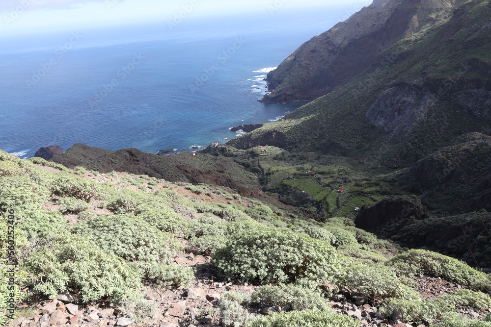 Fototapeta premium Wanderung im Anaga Gebierge auf Teneriffa
