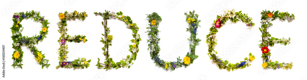 Naklejka premium Blooming Flower Letters Building English Word Reduce