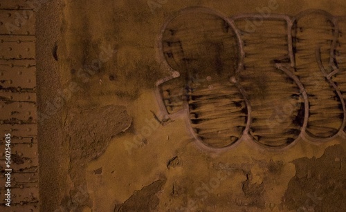 ancient fossil in the sand