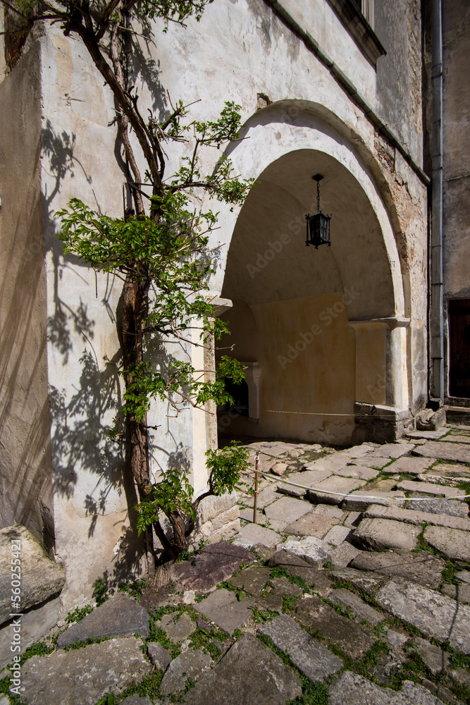 Fototapeta premium The yard in Olesko Castle