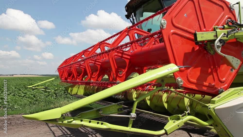 Wheat harvesting. Modern Combine launches shears to harvest wheat. Agriculture food production