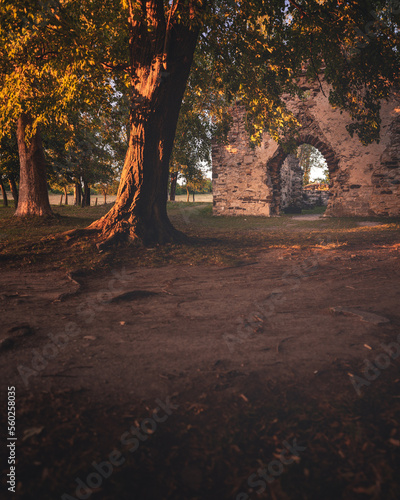 Medieval ruin temple at lake Balaton, Hungary