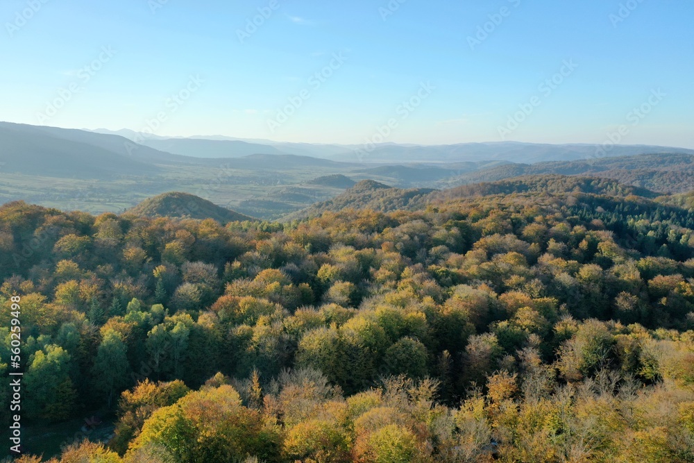 Autumn beech forests from a height, autumn in the mountains, autumn landscape in the mountains of Ukraine,