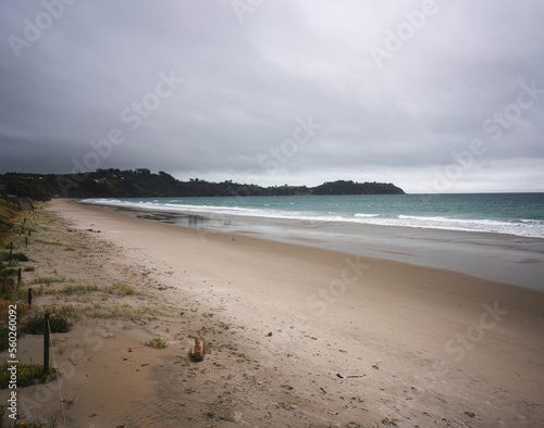 Beach in the Waiheke Island...
