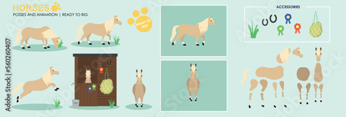 Shetland Pony Horse ready to animate with multiple poses accessories. Vector file labelled ready to rig. Horse riding, horse jumping, horses playing. Horse saddled