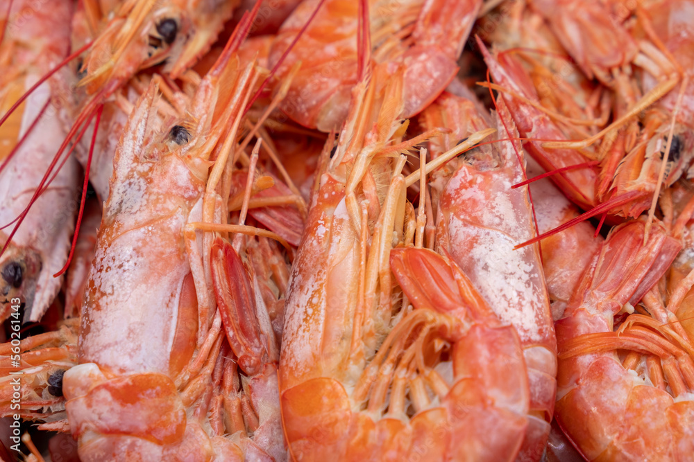Selective focus, Shrimps background texture. A lot of shrimps. Cooked shrimps. Selective focus, Shrimps background texture. A lot of shrimps. Cooked shrimps.