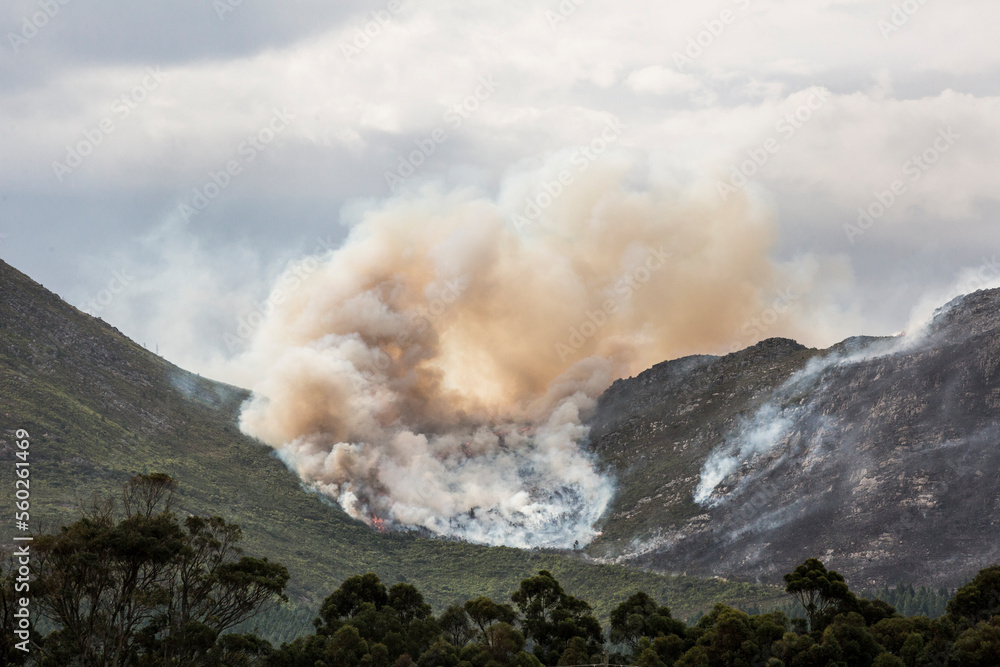 Burning forest in a mountainous area in South Africa. Smoke and fire in the hills