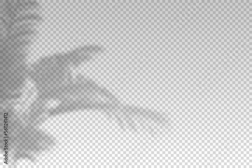 Tree leaf shadow. Plant leaves overlay shade. Soft reflect light from branches. Sun rays reflection from flowers. Reflected shades plants isolated on background for summer design. Vector illustration