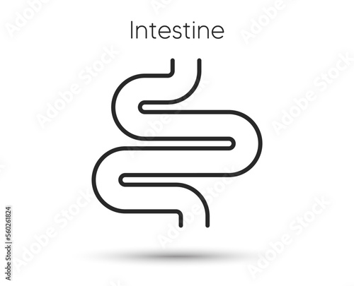 Intestine line icon. Digestion sign. Health bowel symbol. Colonoscopy gut procedure. Illustration for web and mobile app. Line style intestines health icon. Editable stroke colon bowel. Vector