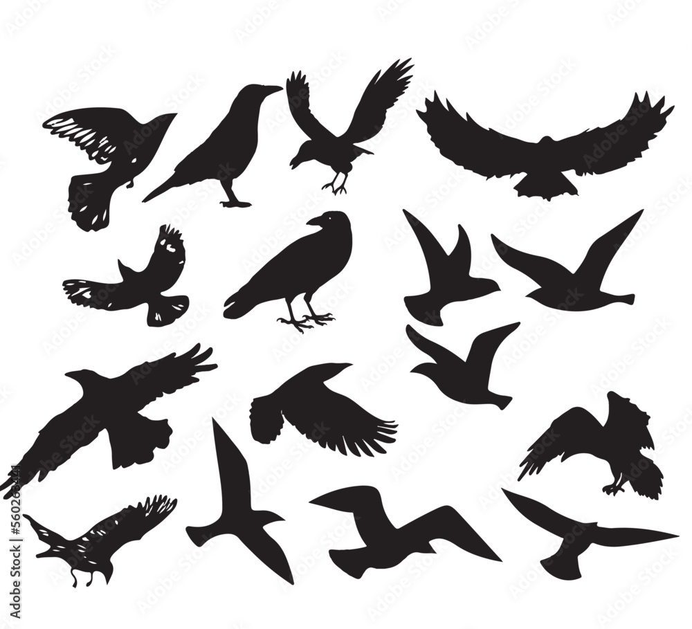Obraz premium set of birds