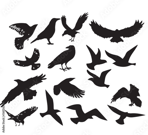 Fototapeta Naklejka Na Ścianę i Meble -  set of birds