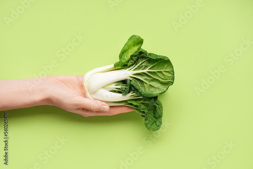 Female hand with fresh pak choi cabbage on green background