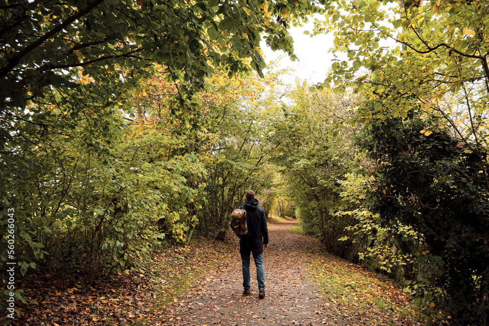 A man traveler walks through the woods. Beautiful wild nature landscape in forest. Hiking journey on tourist trail. Outdoor adventure. Travel and exploration. Healthy lifestyle, leisure activities A man traveler walks through the woods. Beautiful wild nature landscape in forest. Hiking journey on tourist trail. Outdoor adventure. Travel and exploration. Healthy lifestyle, leisure activities