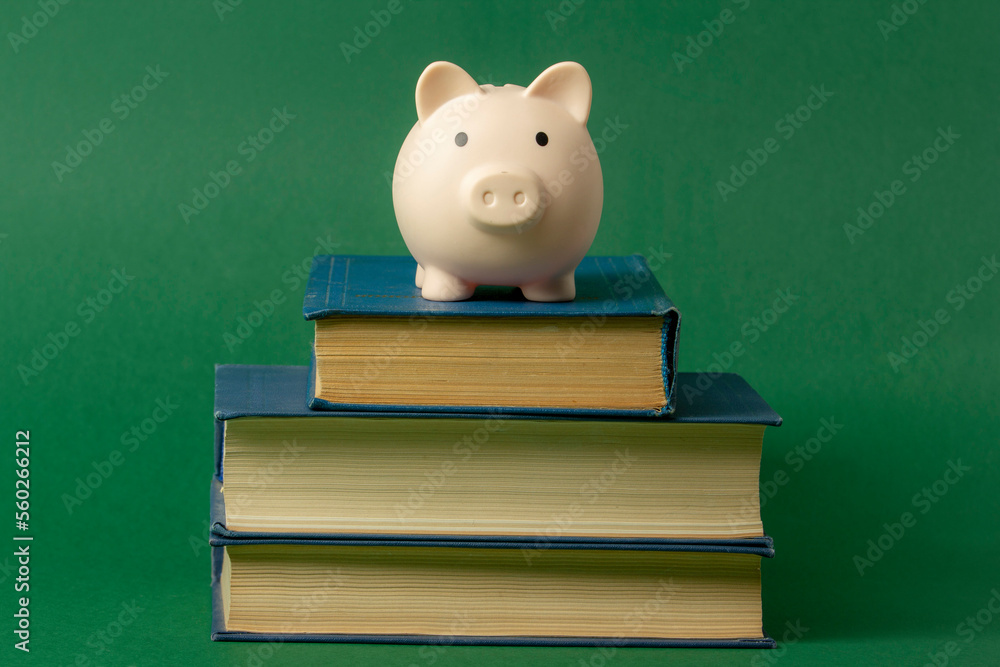 Piggy bank and book. College fees saving concept, copy space for text Piggy bank and book. College fees saving concept, copy space for text