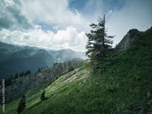 Nagelfluhkette in den allg  uer Alpen im Sommer mit Wolken
