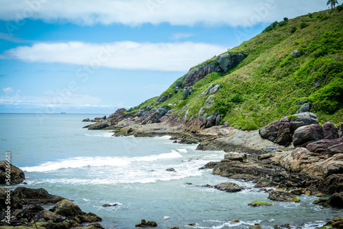 beach and rocks
