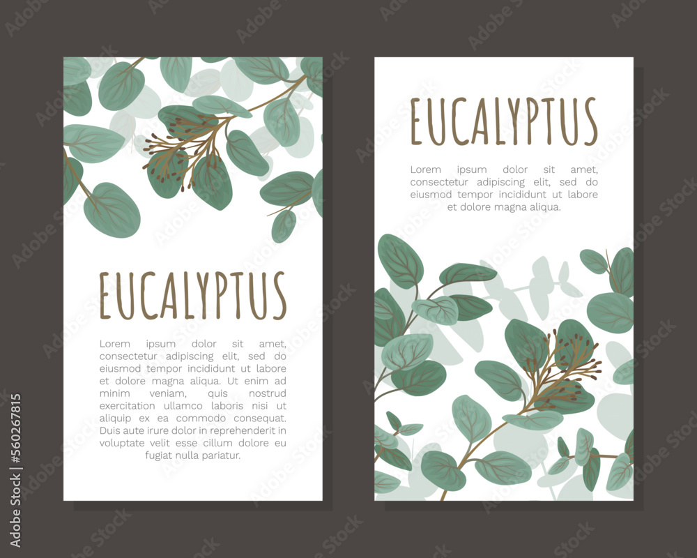 Herbal Eucalyptus Design with Green Leafy Branches Vector Template