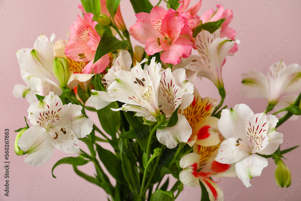 Bouquet of fresh alstroemeria flowers on color background. Mother's day celebration