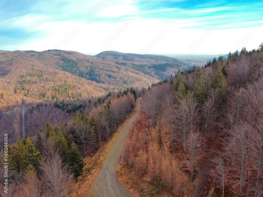 View of mountain trails in autumn from the drone