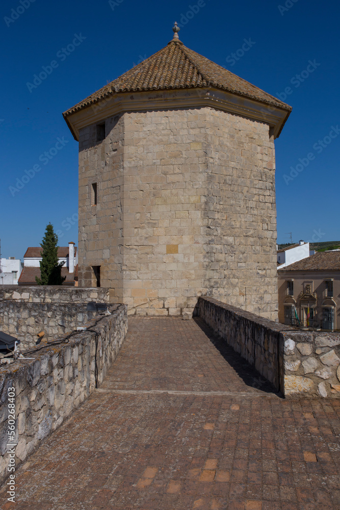 Lucena Moral Castle, Cordoba, Spain