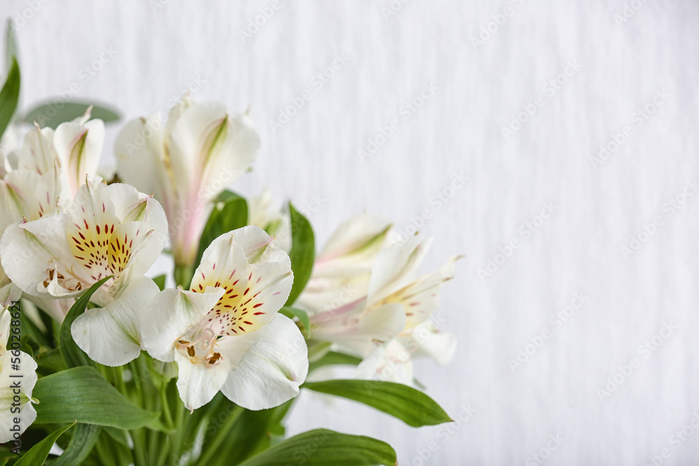 Bouquet of beautiful alstroemeria flowers near light wall, closeup Bouquet of beautiful alstroemeria flowers near light wall, closeup