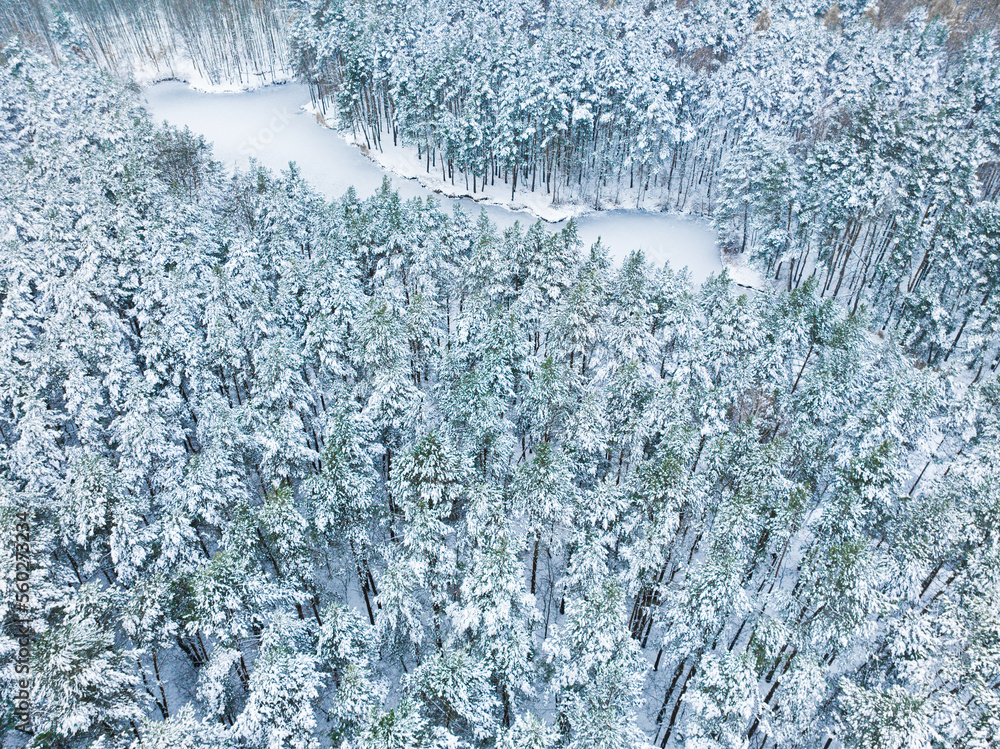 Fototapeta premium Aerial view of a frozen lake, a pond in the middle of the forest. The concept of a winter landscape, a beautiful view of a winter forest and a pond recorded from a drone.