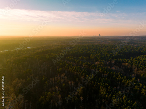 Aerial view of the forest. The concept of spending time in the forest  oxygen production by a large amount of forest  rest and tree landscape.