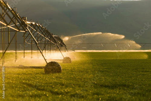Automated irrigation of a farm field in Sunlight. photo