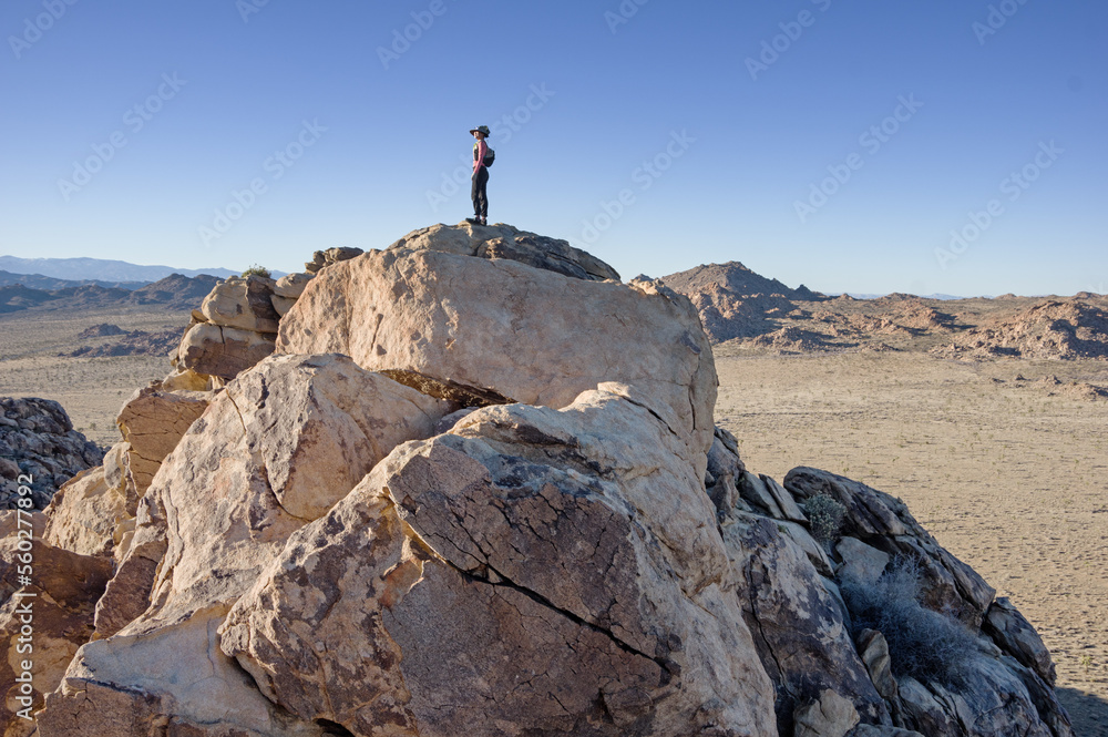Woman On A Rocky Mountain Top Woman On A Rocky Mountain Top