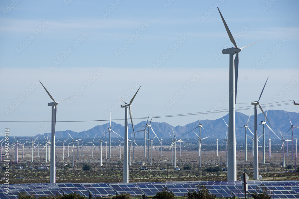 Renewable Power Windmills And Solar Panels
