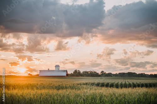 Fototapeta Naklejka Na Ścianę i Meble -  sunset sunrise over a barn in a field