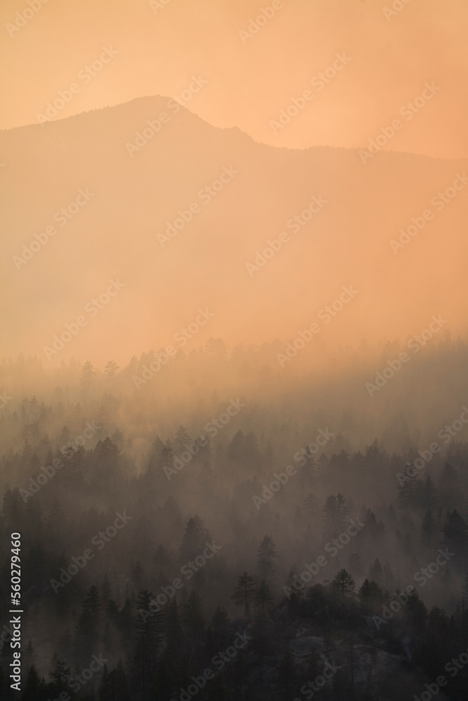 Angora Fire in South Lake Tahoe, CA Angora Fire in South Lake Tahoe, CA