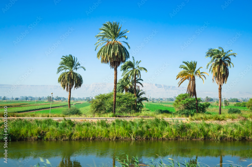 Obraz premium Beautiful green valley of Nile river near city Luxor, Egypt, Africa