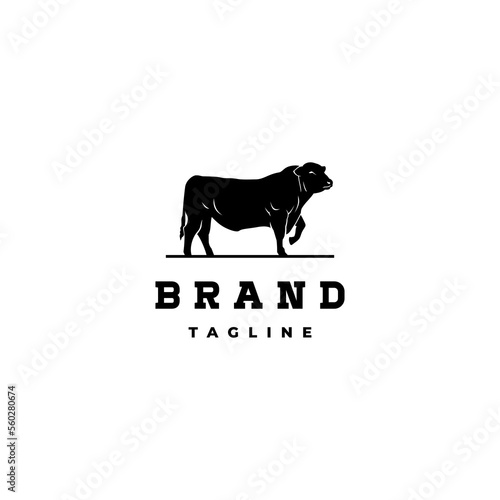 Black Angus Cow Silhouette Logo Design. Black Angus Cow Illustration With One Leg Raised.