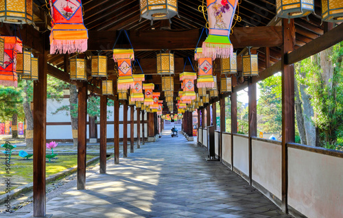 京都、黄檗宗萬福寺の境内 © sonda0112