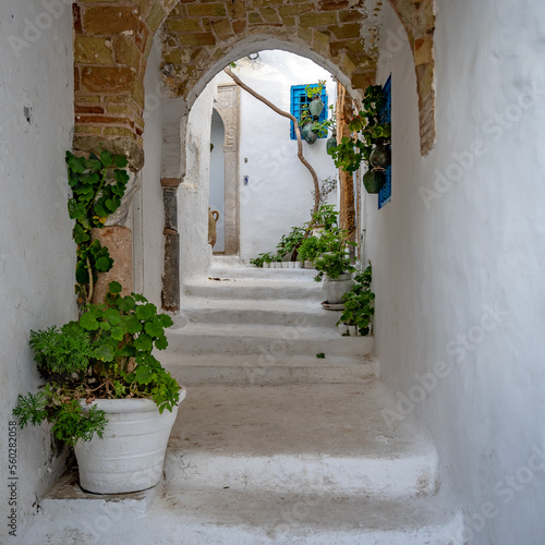 Tunis  Tunisia - Sidi Bou Said village - a popular tourist place