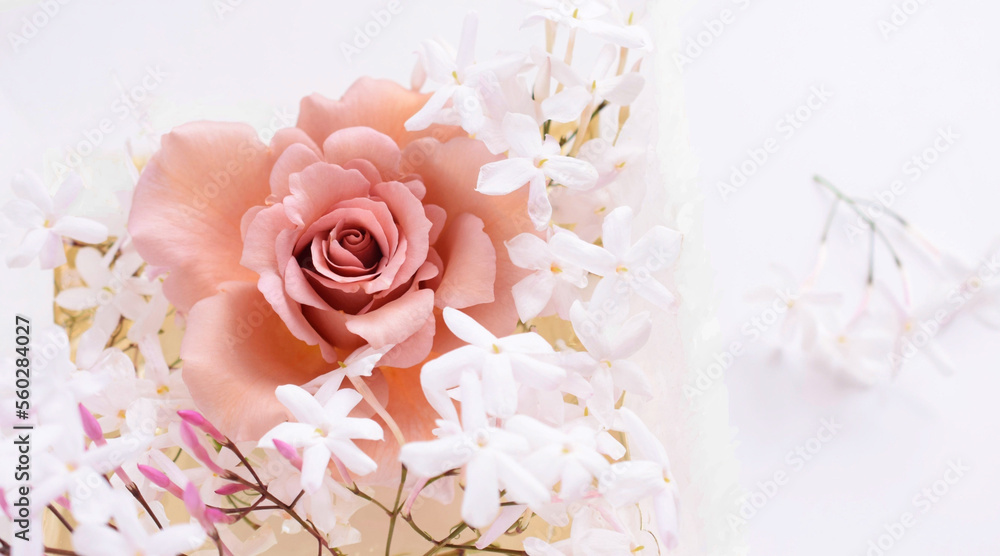 室内の薔薇とジャスミンの花、バラの花のインテリア、フレーム、バナー素材、白背景
