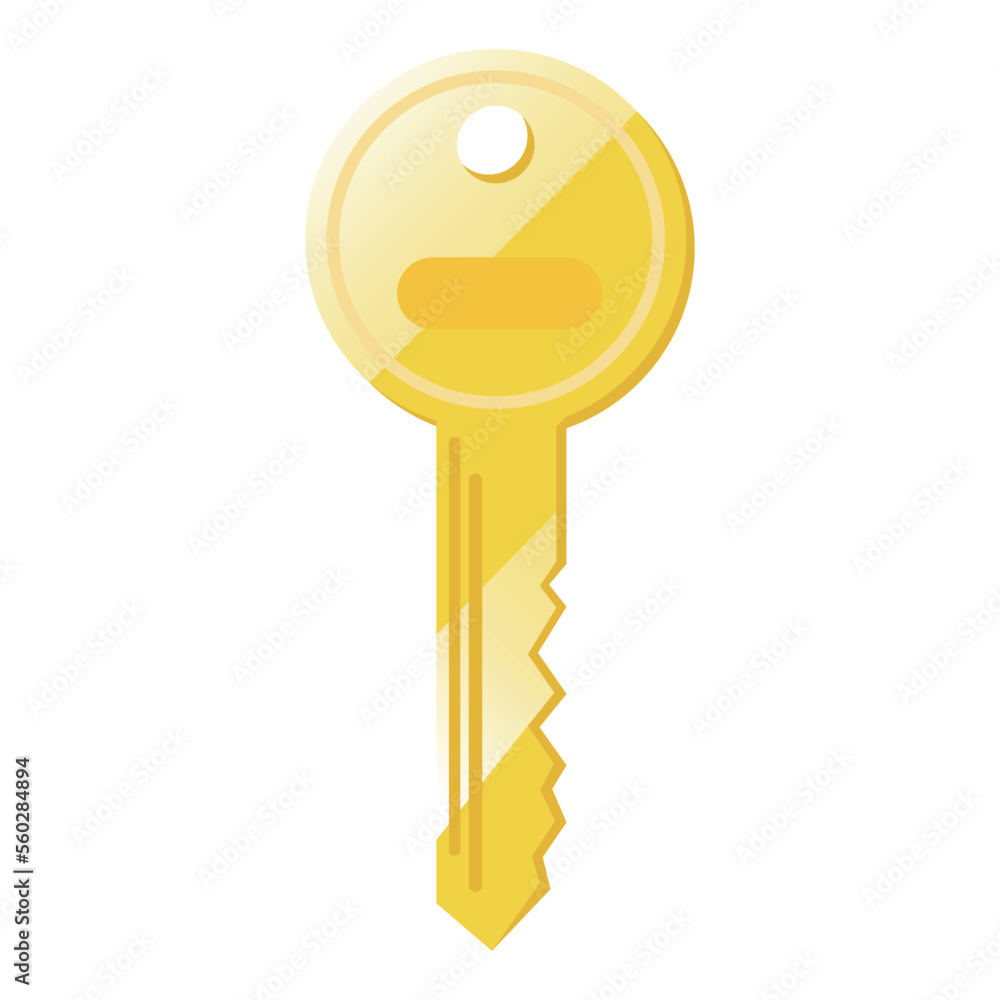 Key vector illustration on white background. Key can open your locked