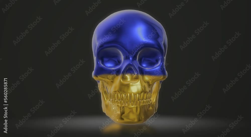 human body anatomy, skull skeleton human body anatomy, skull skeleton