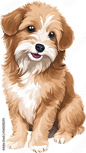 Canvas-taulu happy havanese dog hand drawn digital painting watercolor illustration