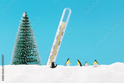 Penguins are very happy in the cold snow