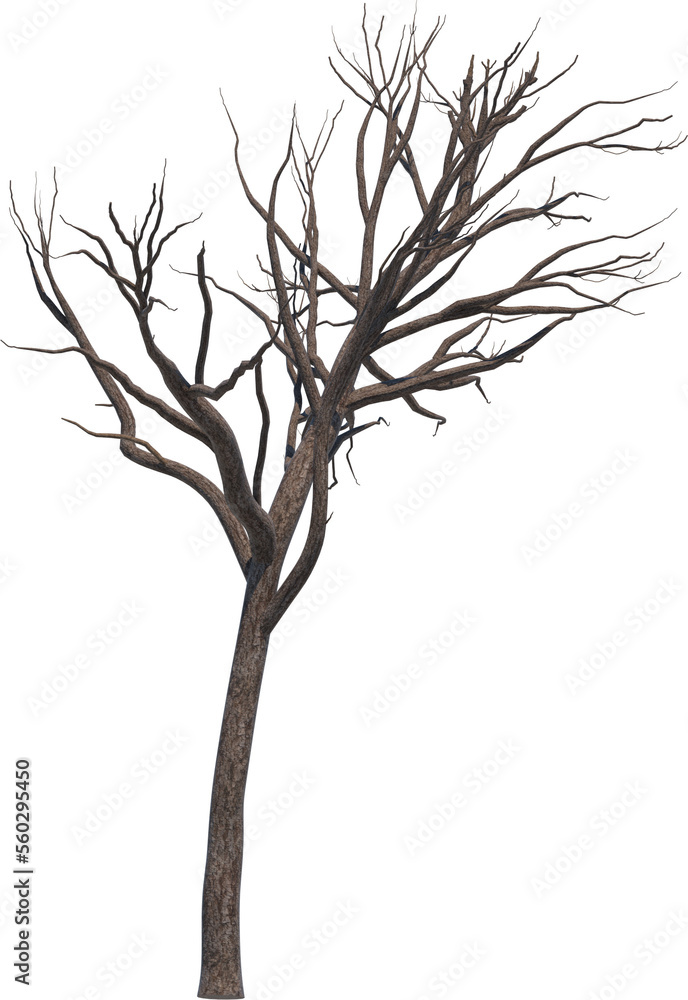 Tree branch cutout Tree branch cutout